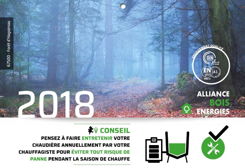 ASTUCES CONSOMMATION GRANULES DE BOIS Alliance Energies