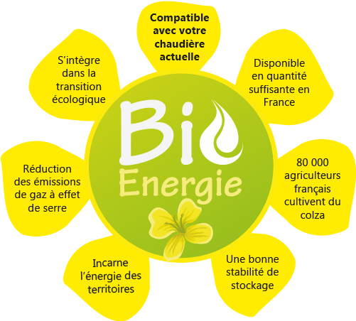 Pourquoi utiliser du colza dans notre combustible bio