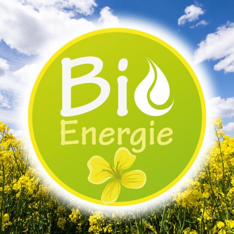 Découvrez notre biofioul à base d'huile de colza cultivé en France
