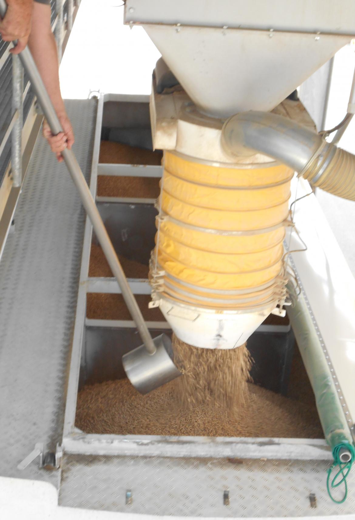1 tonne de clearance pellet